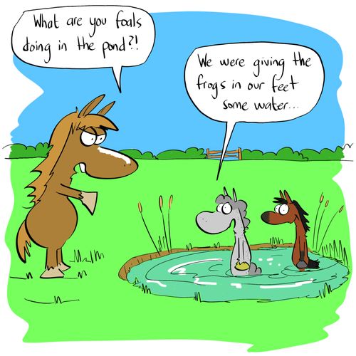 "What are you foals doing in the pond?"
