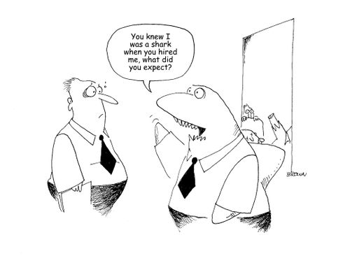 "You knew I was a shark when you hired me, what did you expect?"