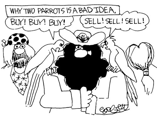 Why two parrots are a bad idea....