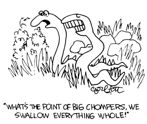 ''What's the point of big chompers, we swallow everything whole!"