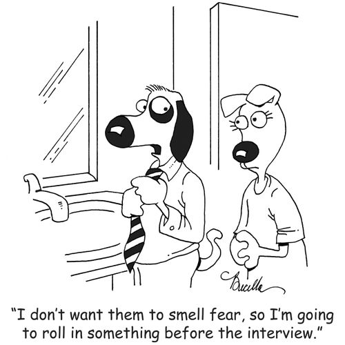 "I don't want them to smell fear, so I'm going to roll in something before the interview."