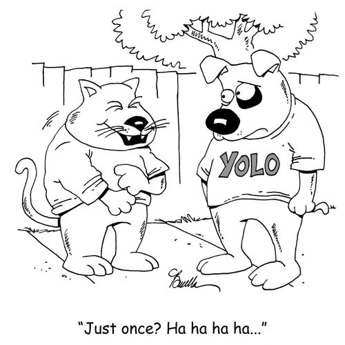 "Just once? Ha ha ha ha..."