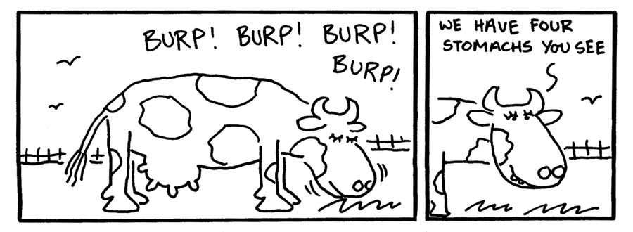 "Burp! Burp! Burp! Burp! We have four stomachs you see."