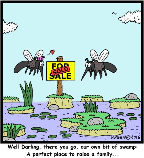 "Well Darling, there you go, our own bit of swamp: A perfect place to raise a family..."