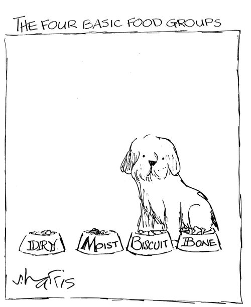 The four basic food groups: Dry, Moist, Biscuit, Bone.