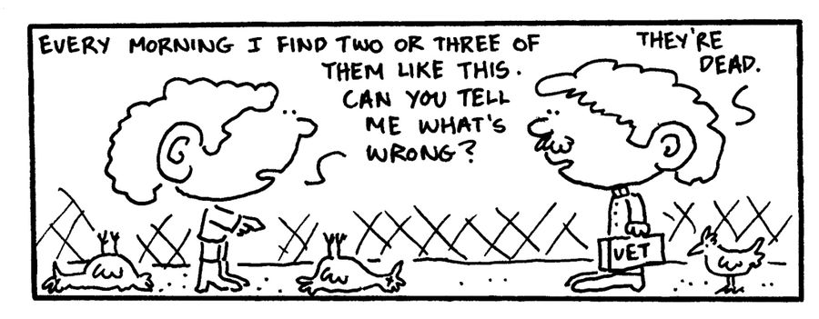 "Every morning I find two or three of them like this. Can you tell me what's wrong?"