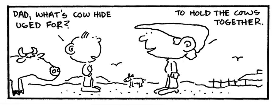 "Dad, what's cow hide used for?"