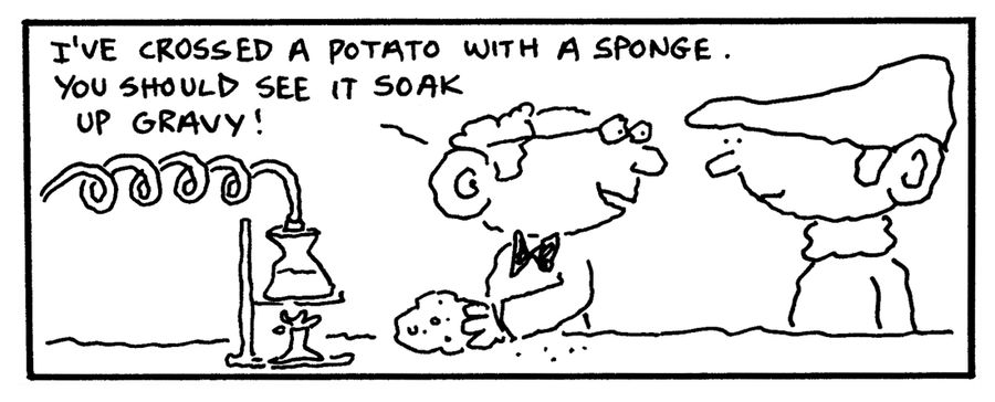 "I've crossed a potato with a sponge. You should see it soak up gravy."