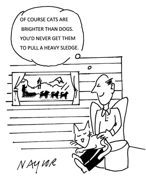 "Of course cats are brighter than dogs. You'd never get them to pull a heavy sledge."