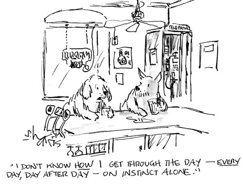 "I don't know how I get through the day - every day, day after day - on instinct alone."
