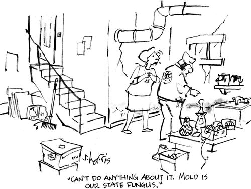 "Can't do anything about it. Mold is our state fungus."