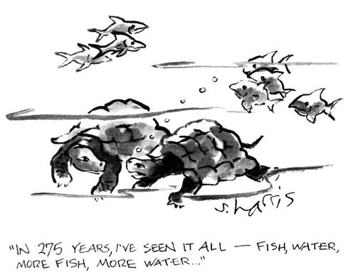 "In 275 years, I've seen it all - fish, water, more fish, more water..."