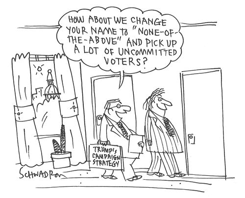 "How about we change your name to 'None-of-the-Above' and pick up a lot of uncommitted voters?"