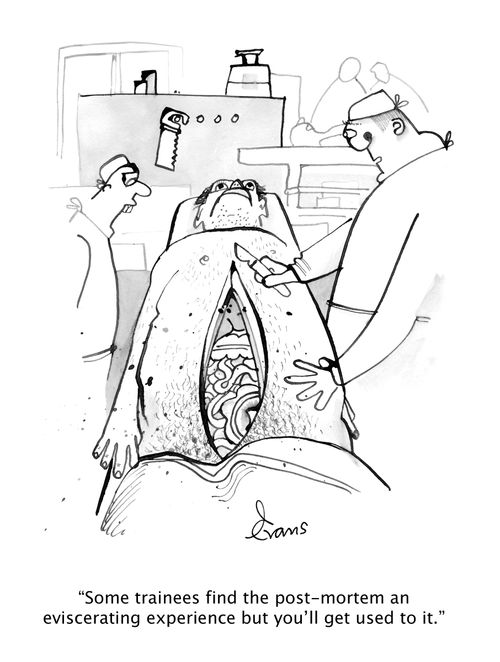 "Some trainees find the post-mortem an eviscerating experience but you'll get used to it."
