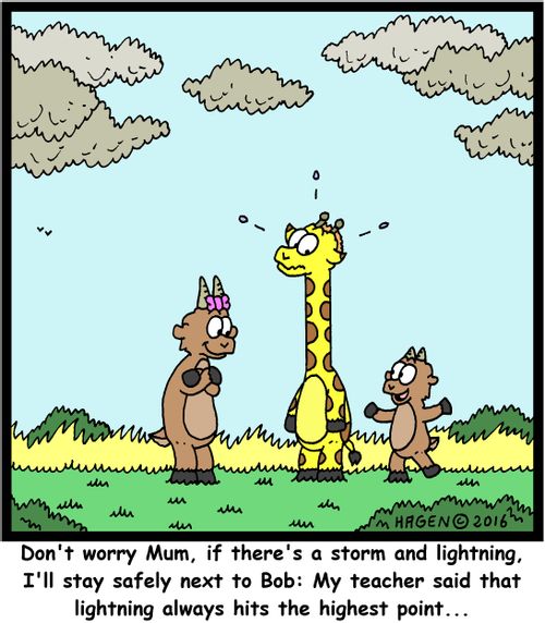 "Don't worry Mum, if there's a storm and lightning, I'll stay safely next to Bob: My teacher said that lightning always hits the highest point..."
