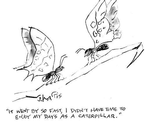 "It went by so fast, I didn't have time to enjoy my days as a caterpillar."