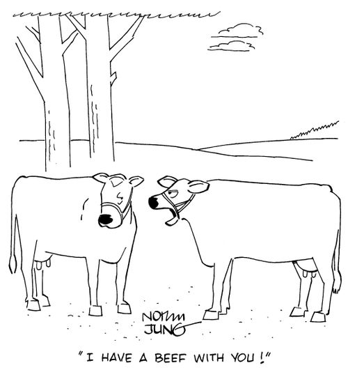 "I have a beef with you!"