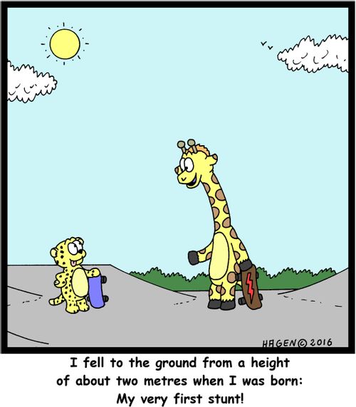 "I fell to the ground from a height of about two metres when I was born: My very first stunt!"
