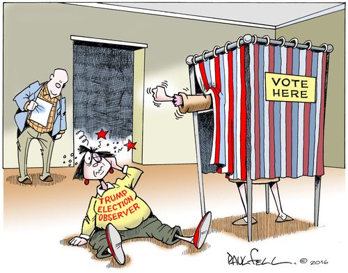 Trump Election Observer