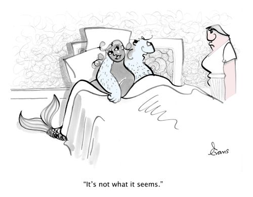 "It's not what it seems."