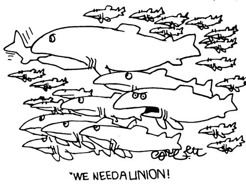 "We need a union!'