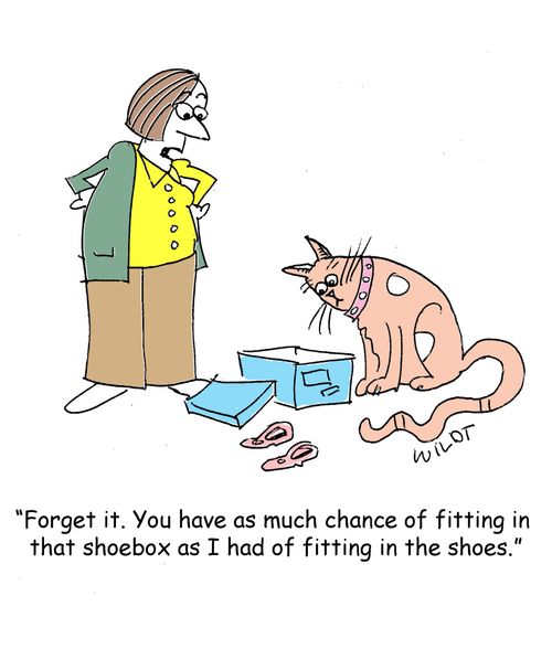 "Forget it. You have as much chance of fitting in that shoebox as I had of fitting in the shoes."