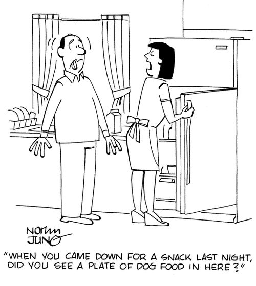 "When you came down for a snack last night, did you see a plate of dog food in here?"