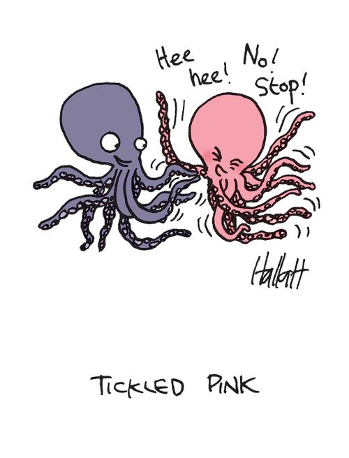 Octopus gets tickled pink