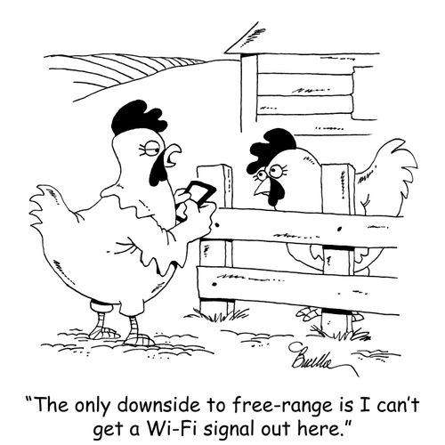 "The only downside to free-range is I can't get a Wi-Fi signal out here."
