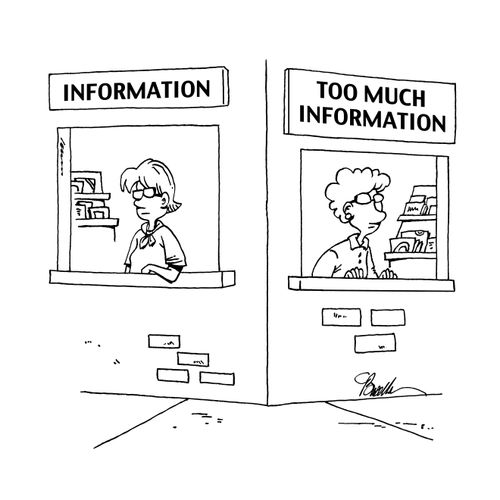 Information/Too Much Information