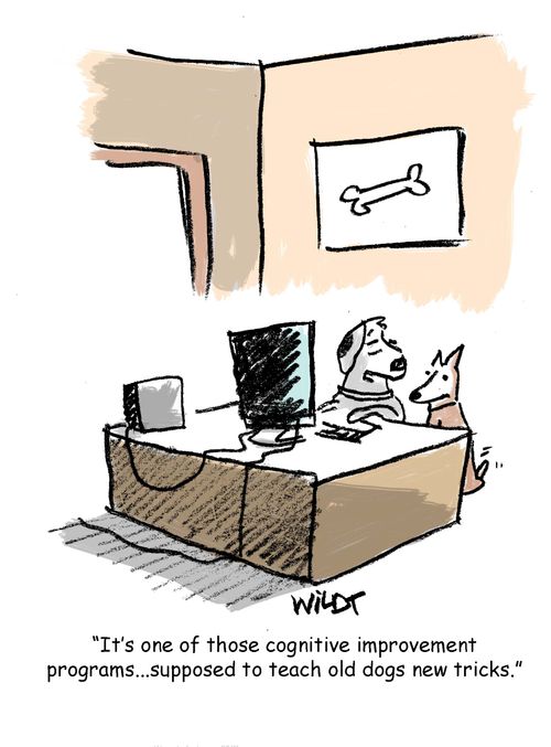 It's one of those cognitive improvement programs...supposed to teach old dogs new tricks.