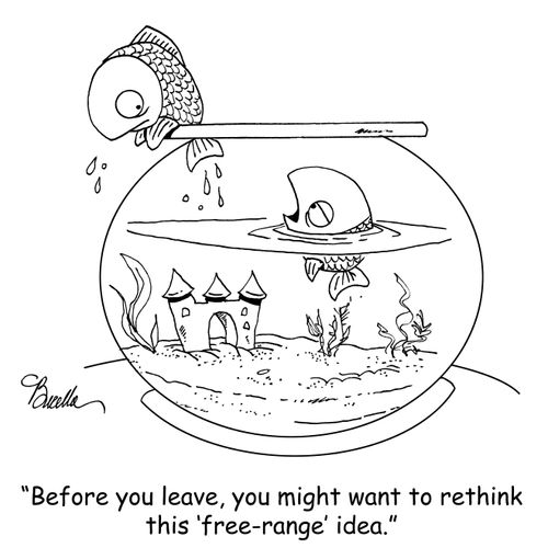 "Before you leave, you might want to rethink this 'free-range' idea."