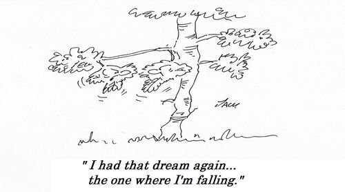 "I had that dream again...the one where I'm falling."