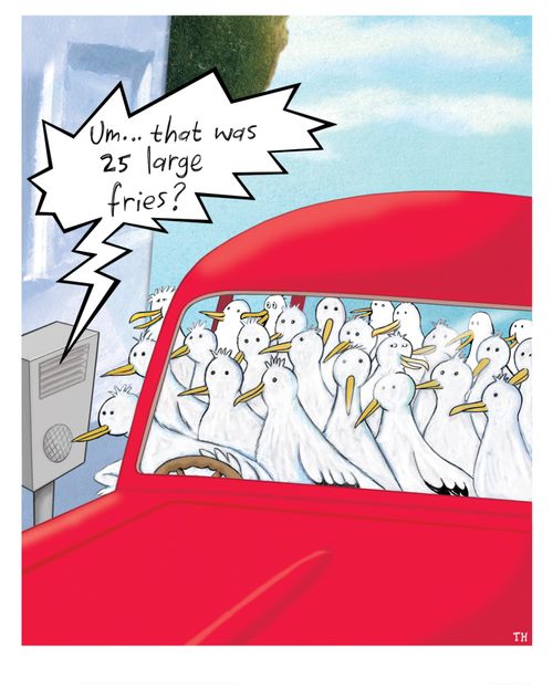 Seagulls at a drive through - just ordering fries.