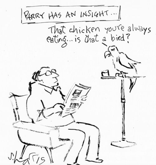 'Parry has an insight...'  "That chicken you're always eating..is that a bird?"