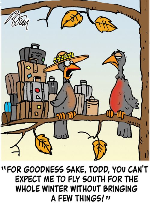 "For goodness sake, Todd, you can't expect me to fly south for the whole winter without bringing a few things!"