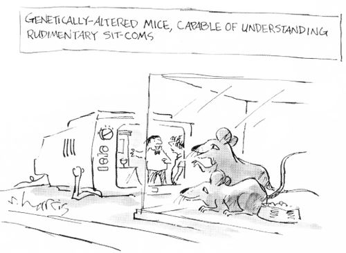 'Genetically-altered mice, capable of understanding rudimentary sitcoms.'