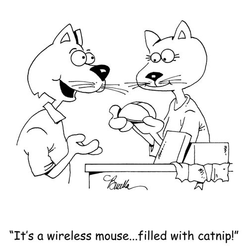 "It's a wireless mouse...filed with catnip!"