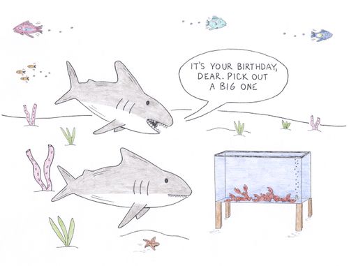 "It's your birthday, dear. Pick out a big one."