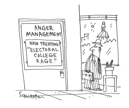 Anger Management - Now Treating "Electoral College Rage"