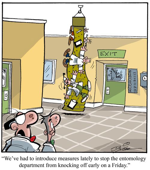 "We've had to introduce measures lately to stop the entomology department from knocking off early on a Friday."