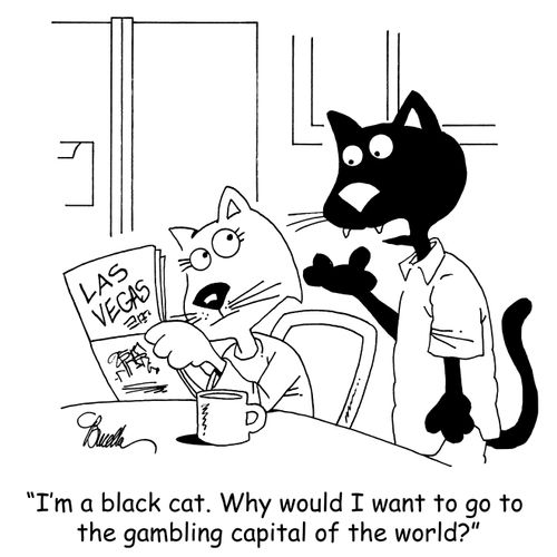 "I'm a black cat. Why would I want to go to the gambling capital of the world?"