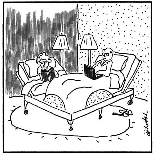 Double adjustable bed