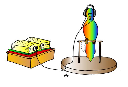 Parrot listens to a book on tape.