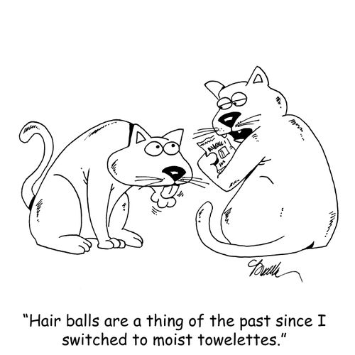 "Hair balls are a thing of the past since I switched to moist towelettes."
