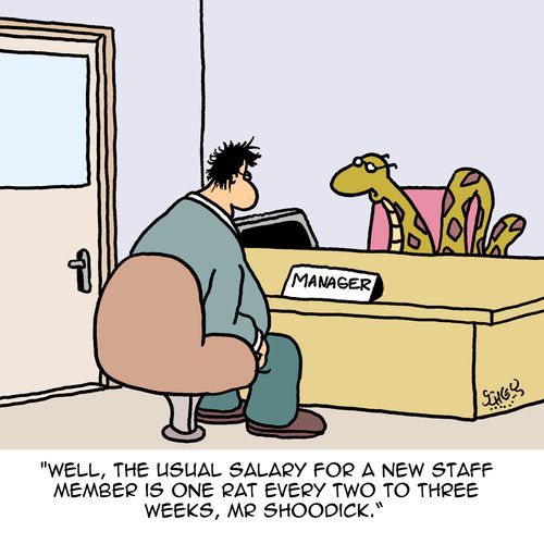 "Well, the usual salary for a new staff member is one rat every two to three weeks, Mr. Shoodick."
