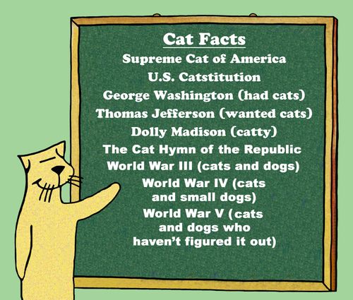 A cat's view of USA history.