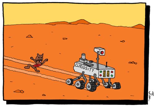 Curiosity Killed the Cat