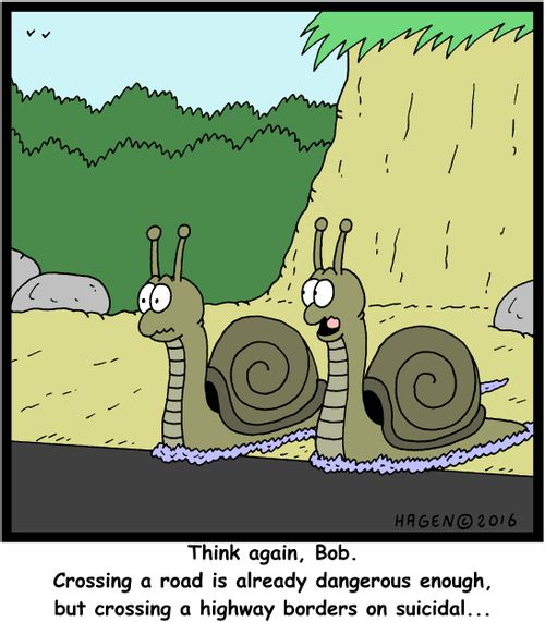 "Think again, Bob. Crossing a road is already dangerous enough, but crossing a highway borders on suicidal..."