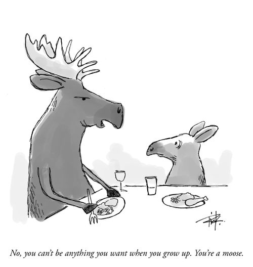"No, you can't be anything you want when you grow up. You're a moose."
